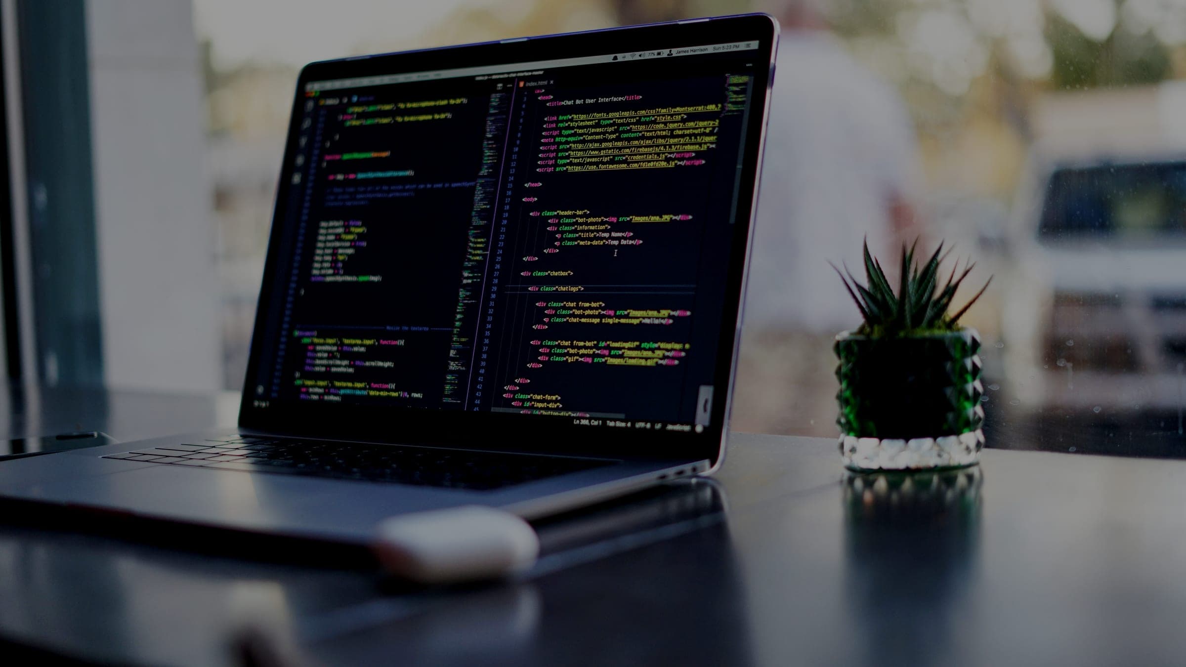A laptop on a table showing code in an editor, a small cactus beside it
