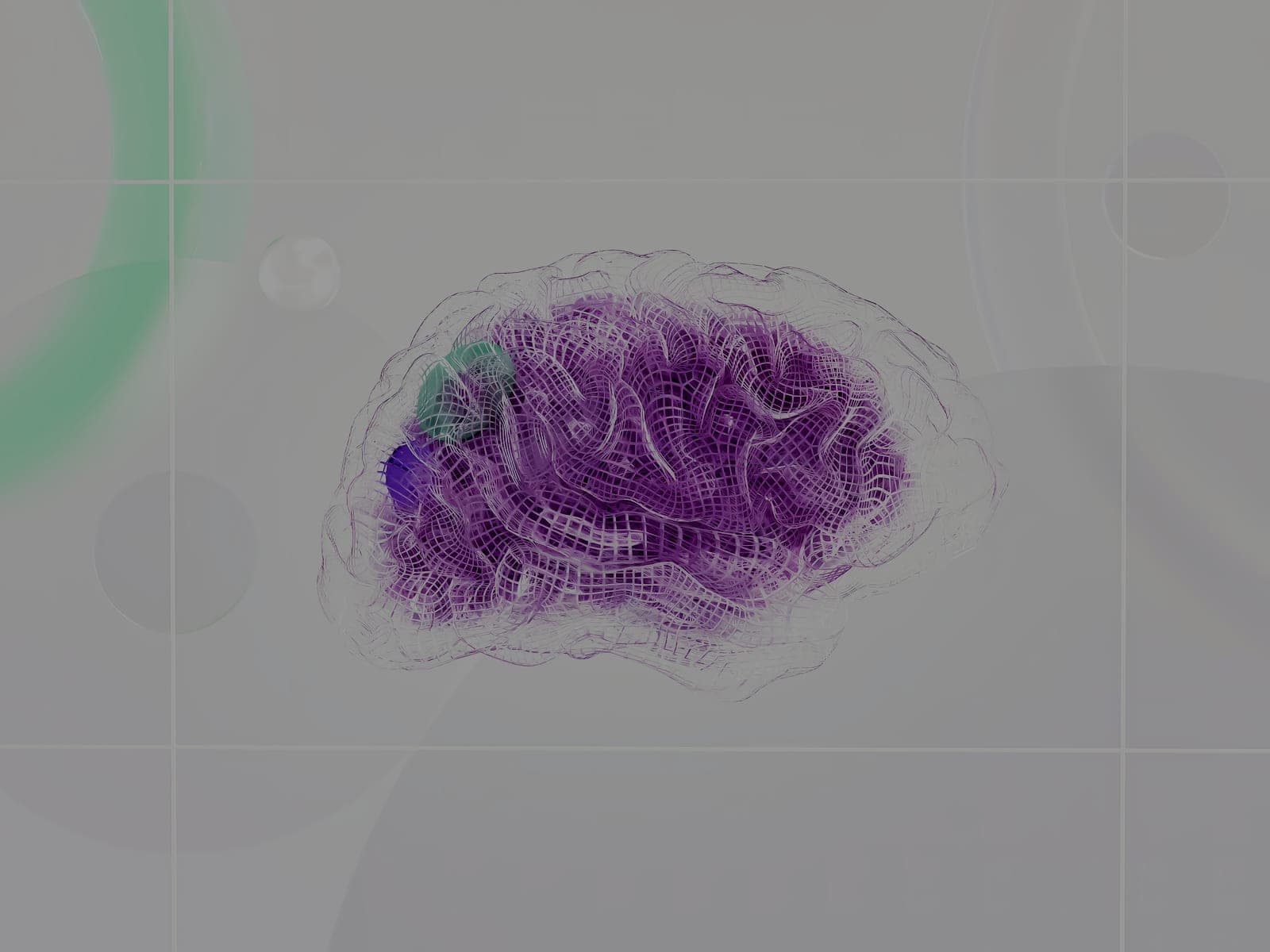A translucent purple wireframe rendering of a human brain against a pale background